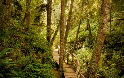 在Linux桌面系统上安装Windows字体